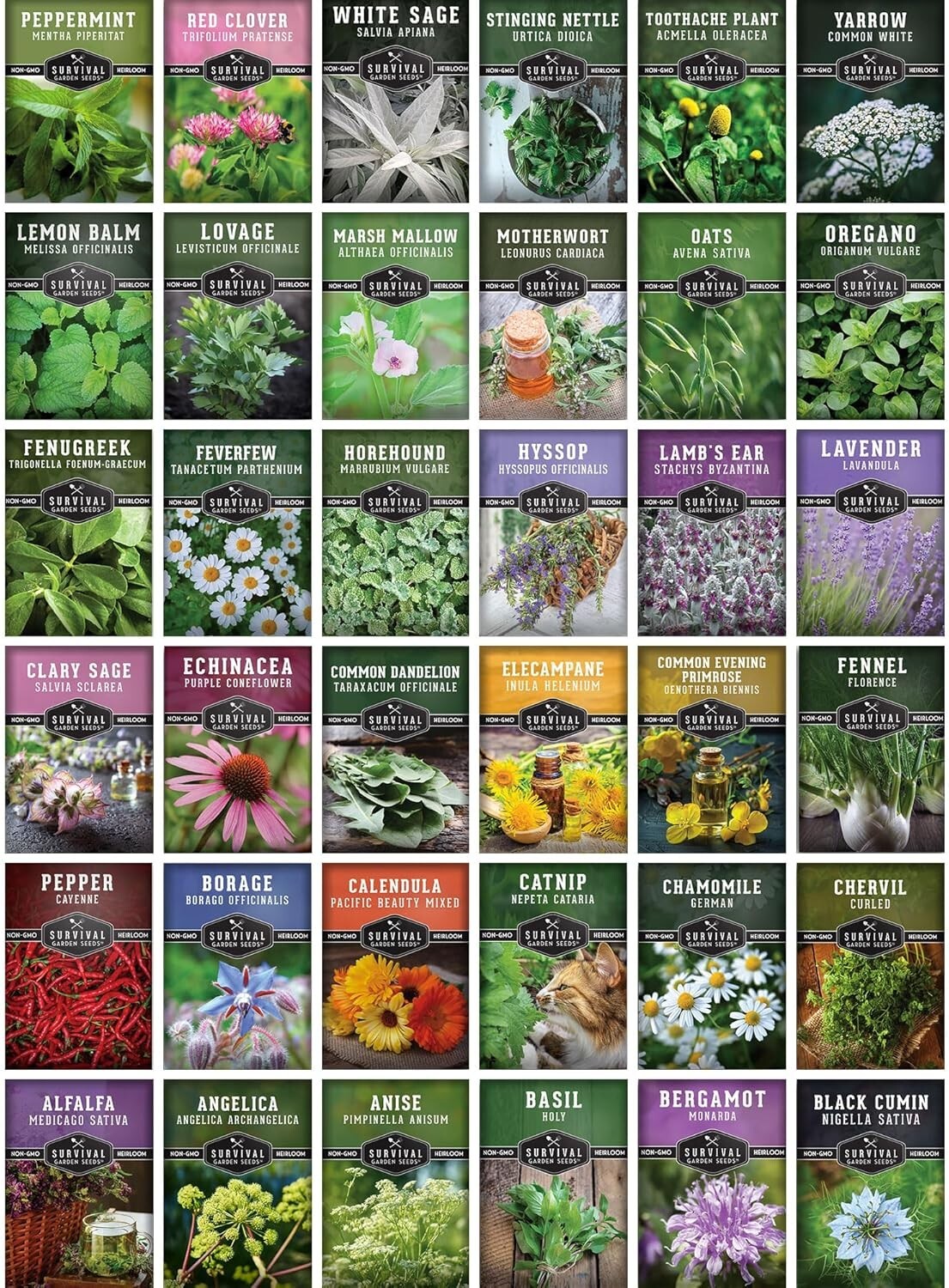 36 Variety Pack of Non-GMO Medicinal Herb Seeds for Home Apothecary Gardens