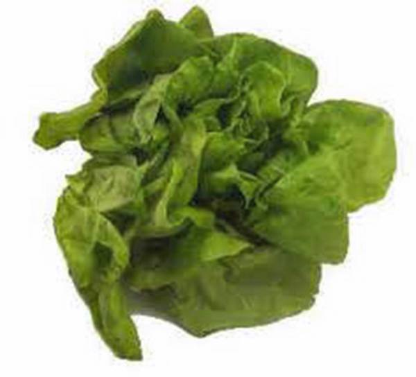Salad Mix Garden Collection, Heirloom Seeds, 6 Top Varieties