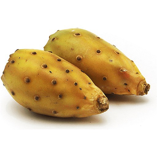 15 Seeds Yellow Fruit Prickly Pear Cactus. 15 Semillas de Nopal Tunero Amarillo