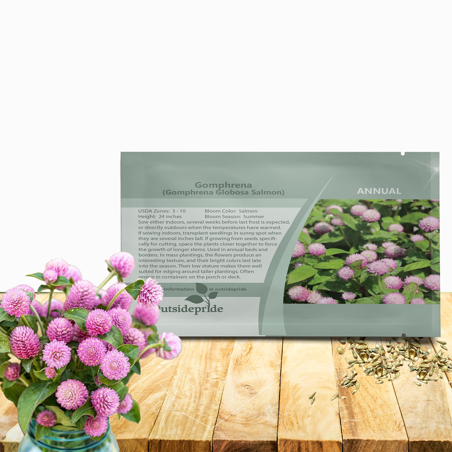 2000 Seeds Gomphrena Seeds – Globe Amaranth Gomphrena Salmon Flower Seed
