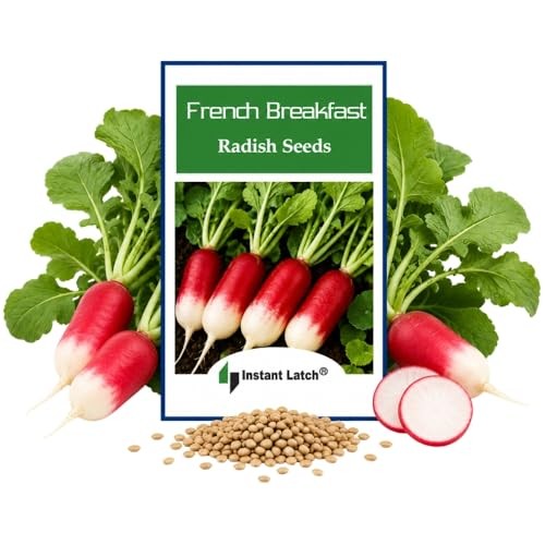 100 French Breakfast Radish Seeds | Non-GMO | Fresh Garden Seeds