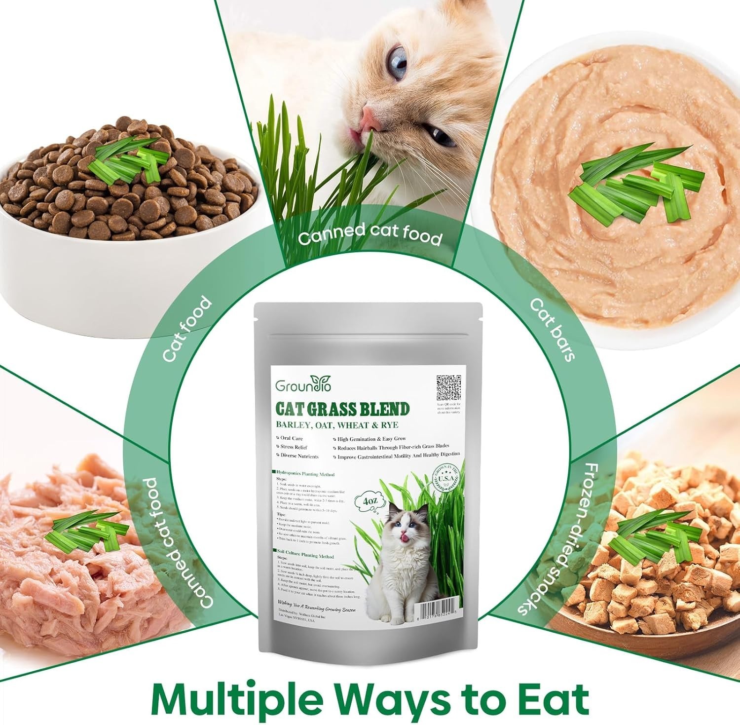 Cat Grass Seed Mix – Non-GMO, Fast Germinate, 4 Varieties, 4 oz