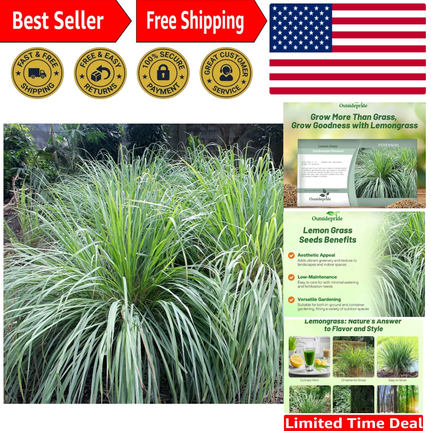 2000 Blue-Green Lemongrass Seeds – Deer-Proof Citronella Herb for -Round Use