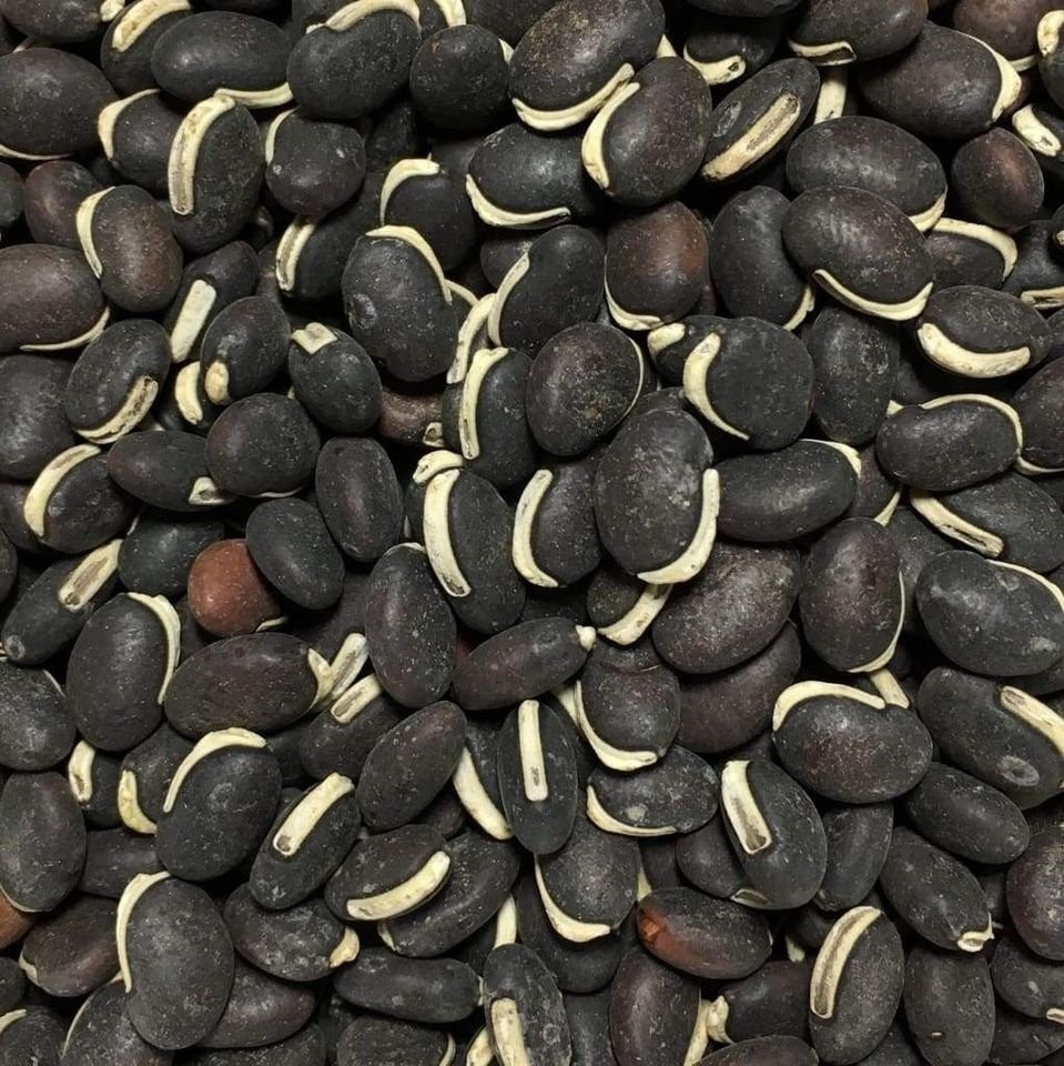 15 Asian Green Bean Seeds (Curved) | Fresh | NON GMO