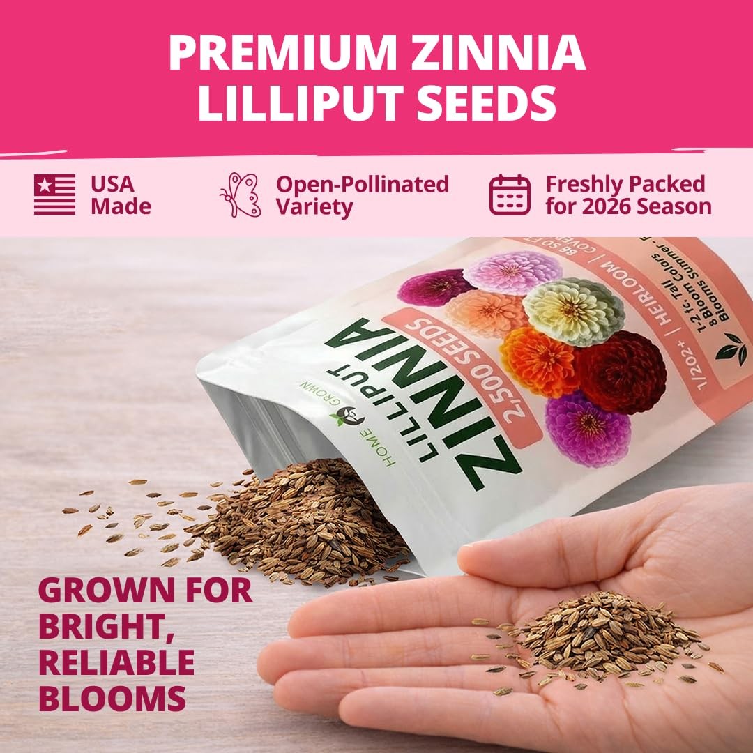 HOME GROWN Zinnia Lilliput Mix Flower Seeds for Planting Spring 1-Pack, Green