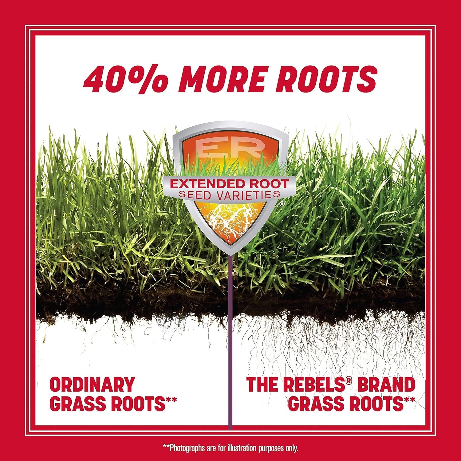 Tall Fescue Grass Seed – 7 lb Covers 10,000 sq. ft. Lawn Solutions