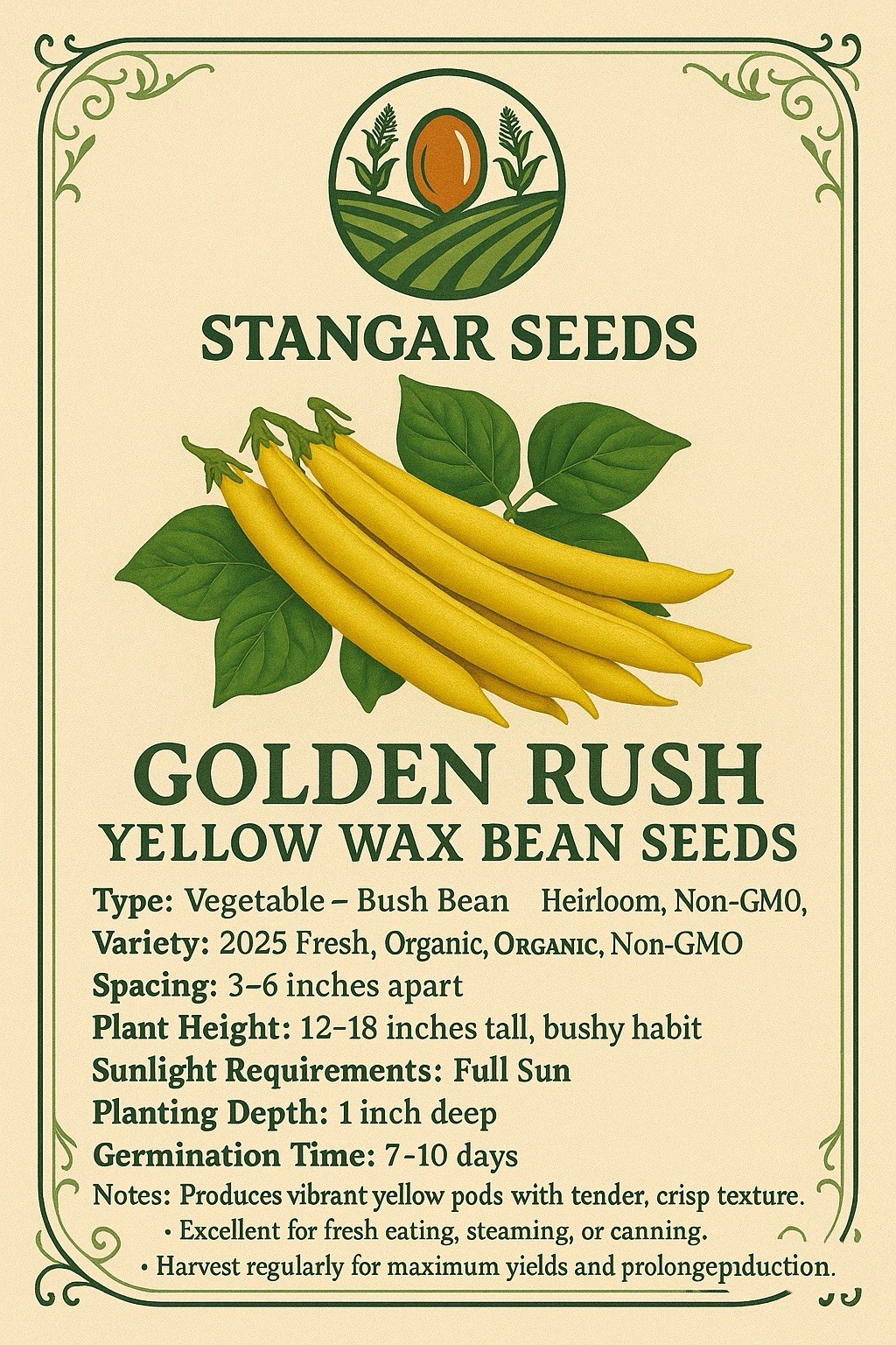 30+ Golden Rush Yellow Wax Bean Seeds USA 2026 Heirloom Fresh