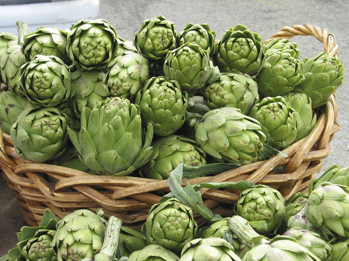 – Seeds Green Artichoke Heirloom Vegetable Non GMO