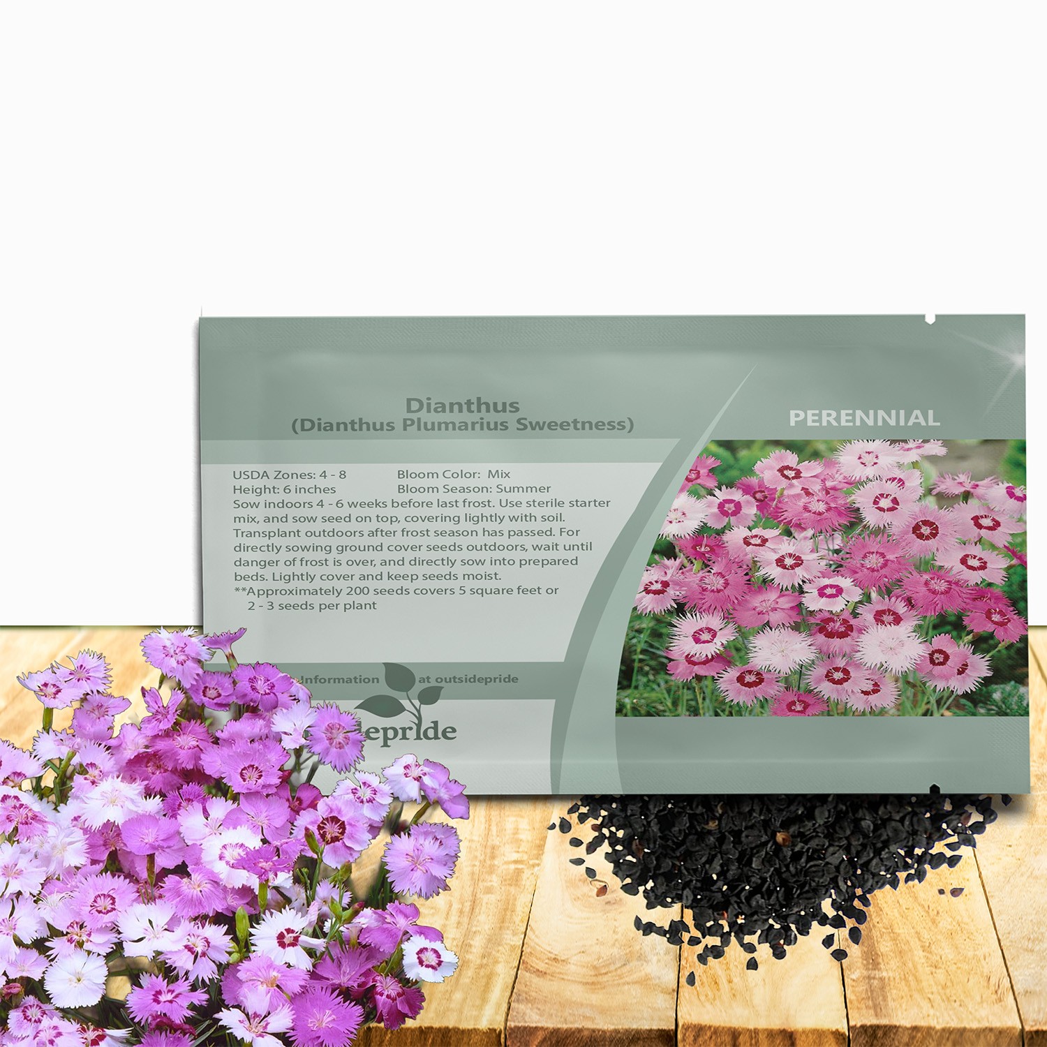 50 Seeds Dianthus Seed – Dianthus Plumarius Sweetness Ground Cover Seeds