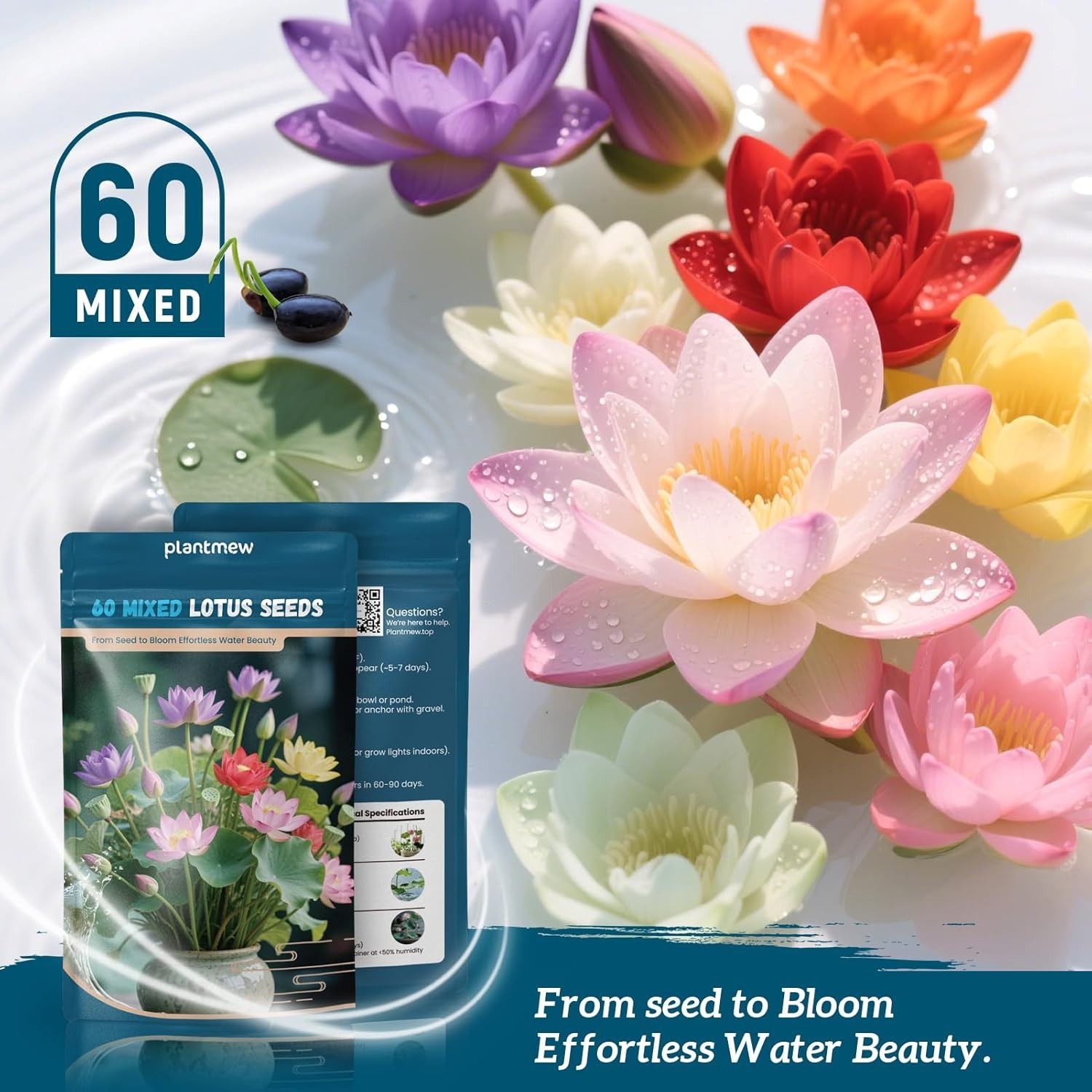 Heirloom Bowl Lotus Seeds – 60 PCS for Stunning Water Gardens & Air Purification