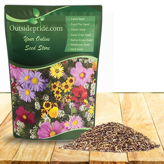 1 LB Birds and butterfly attractant wild flower seed mixture.