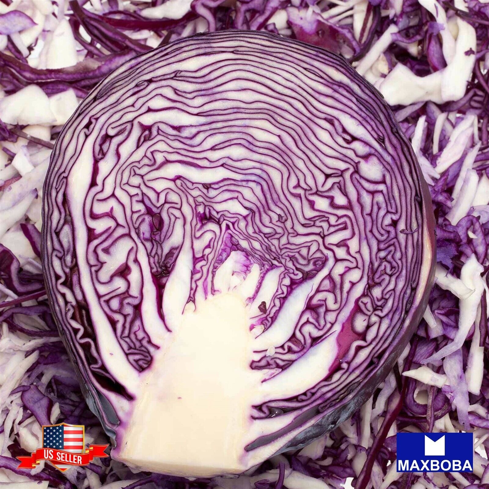 Cabbage Seeds – Mammoth Red Rock Non-GMO Heirloom Garden