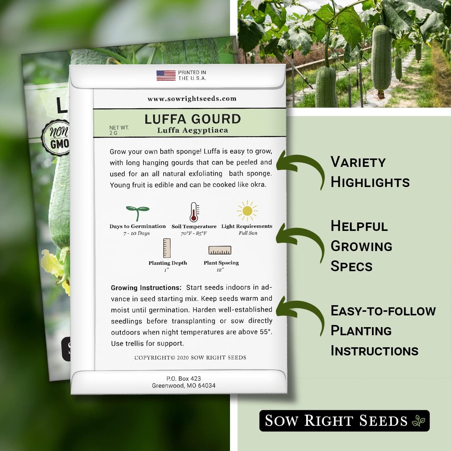 Unique Luffa Gourd Seeds – Grow Edible Fruiting Gourds and Natural Bath Sponges