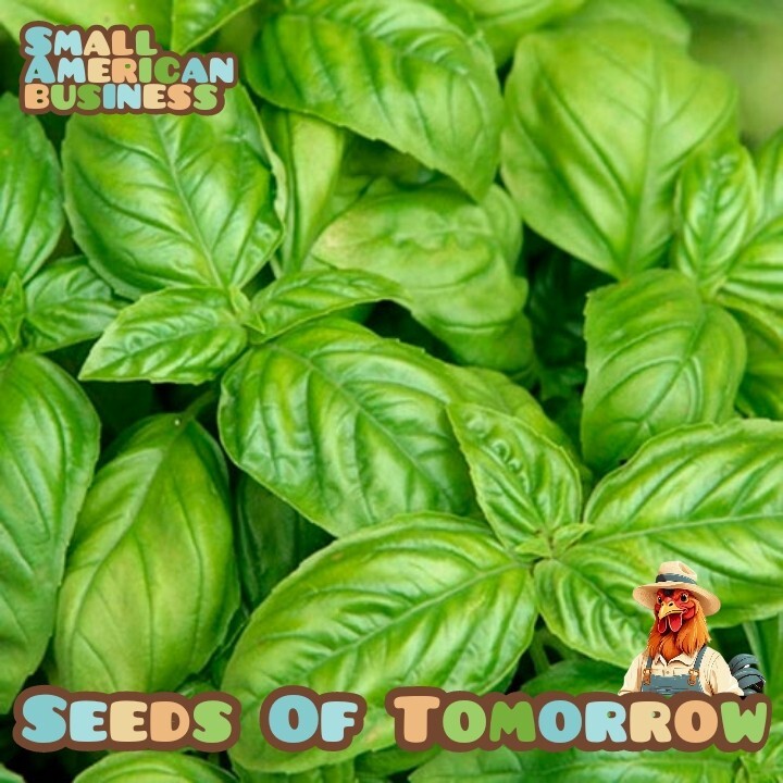 350+ Organic Non-GMO Large Leaf Italian Basil Seeds- Seeds Of Tomorrow