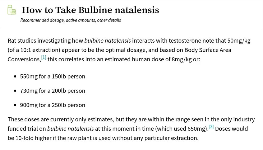 Bulbine Natalensis aka Bulbine Natal 5 Seeds Free Shipping!