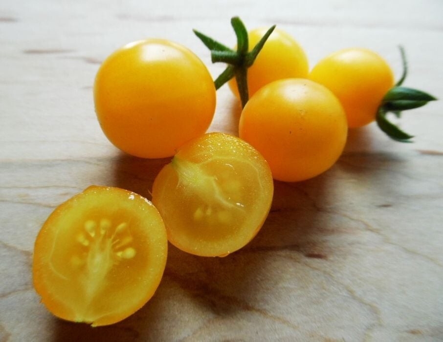 🌱New! Dwarf Yellow Cherry Tomato 25 Seeds Indeterminate Variety