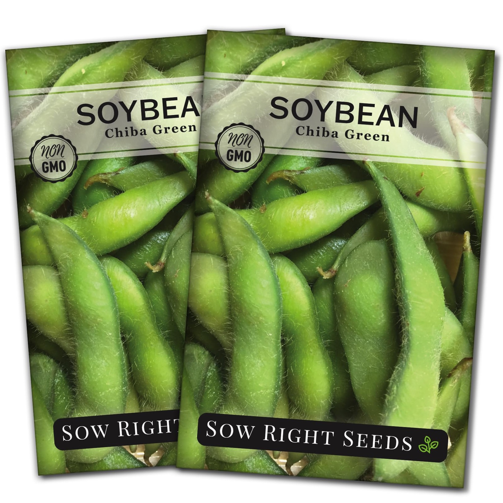 Chiba Green Soybean Seeds NonGMO Edamame for Vegetable Garden Planting