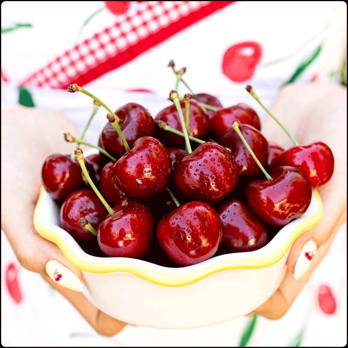 Coral Champagne Cherries Seeds Non GMO Organic [5pcs]