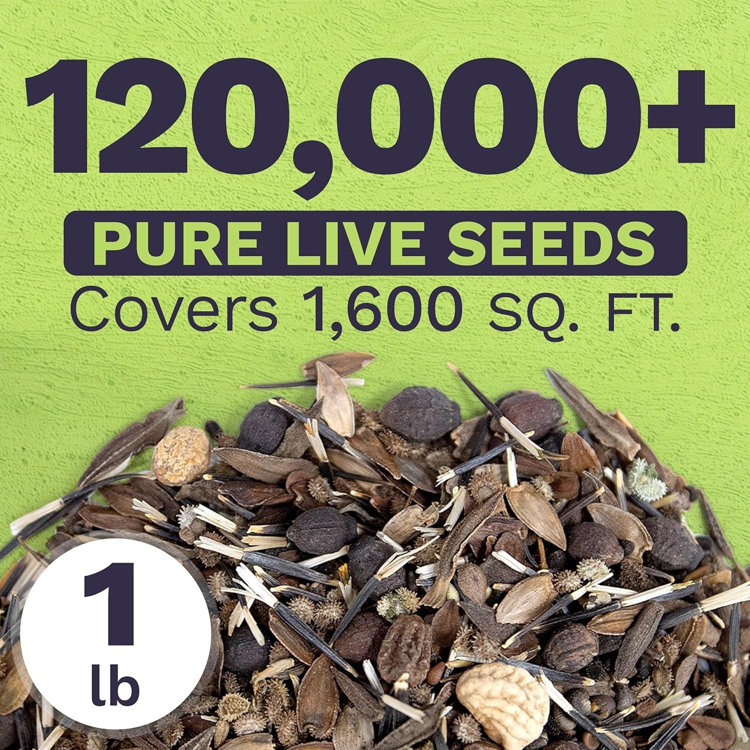 Hummingbird Butterfly Wildflower Seeds Mix