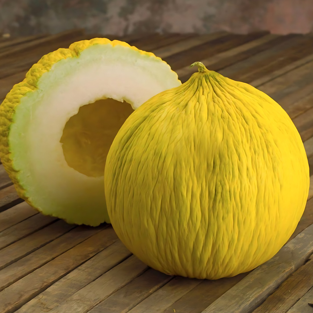 Fresh Juicy Casaba Melon Seeds | Yellow | Heirloom Non-GMO | Fruit Seeds