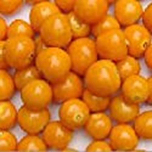 Cape Gooseberry Ground Cherry Seeds (((25 Seed Packet))) (More Heirloom, Organic