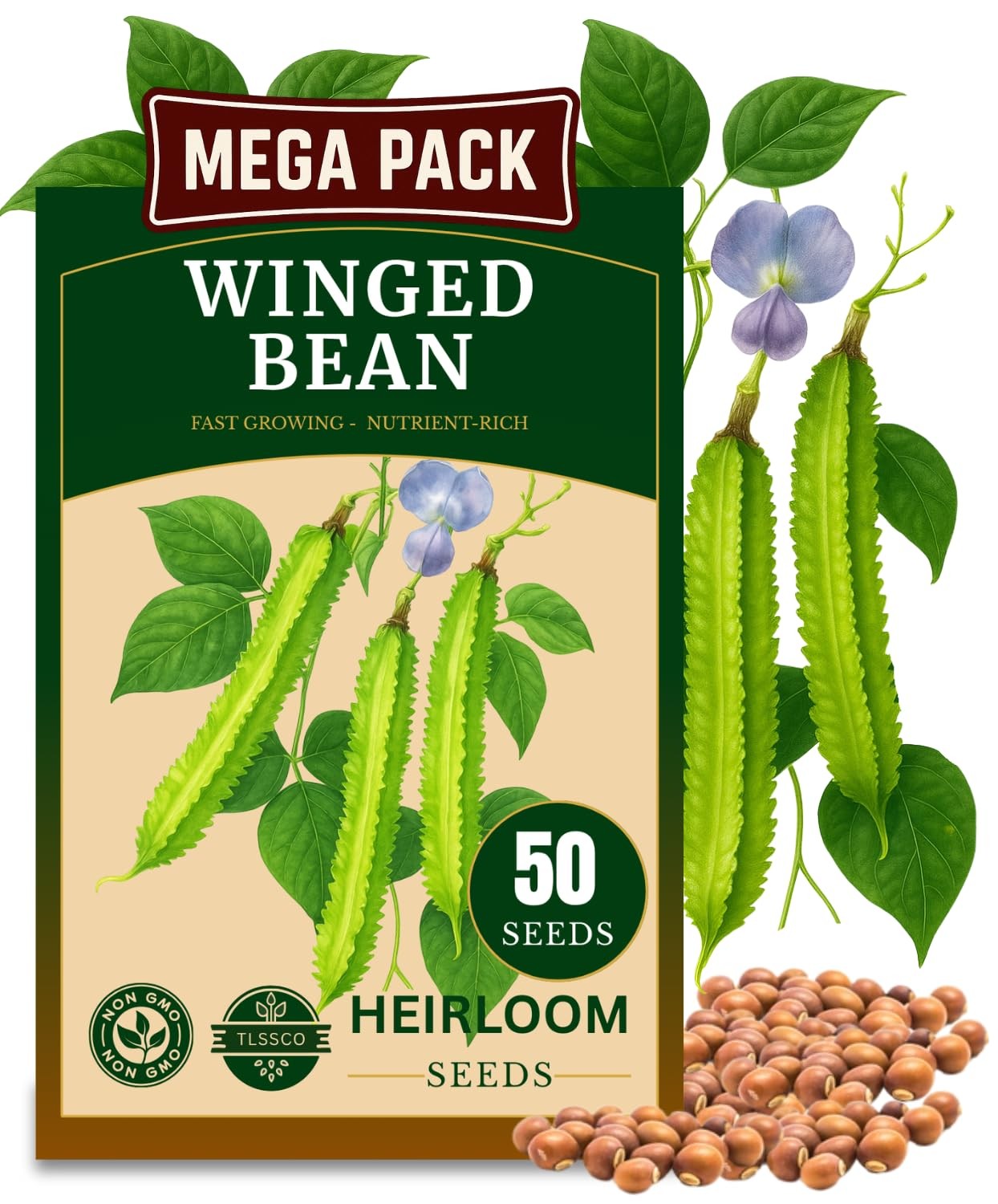 50+ USA Premium Winged Bean Seeds for Planting, Non-GMO – Green