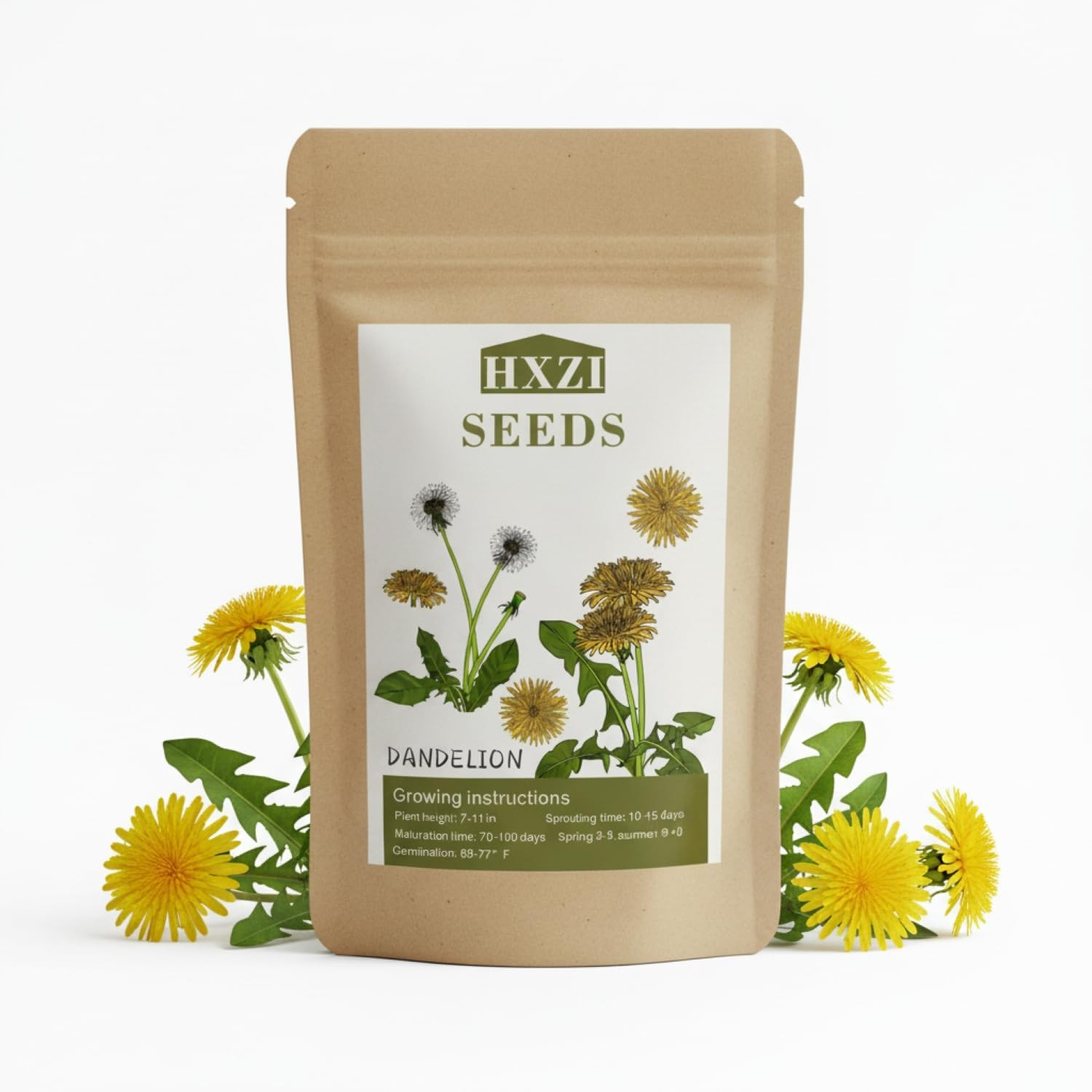 12,000+ Dandelion Seeds for Planting, Flower Seeds for Vibrant Gardens