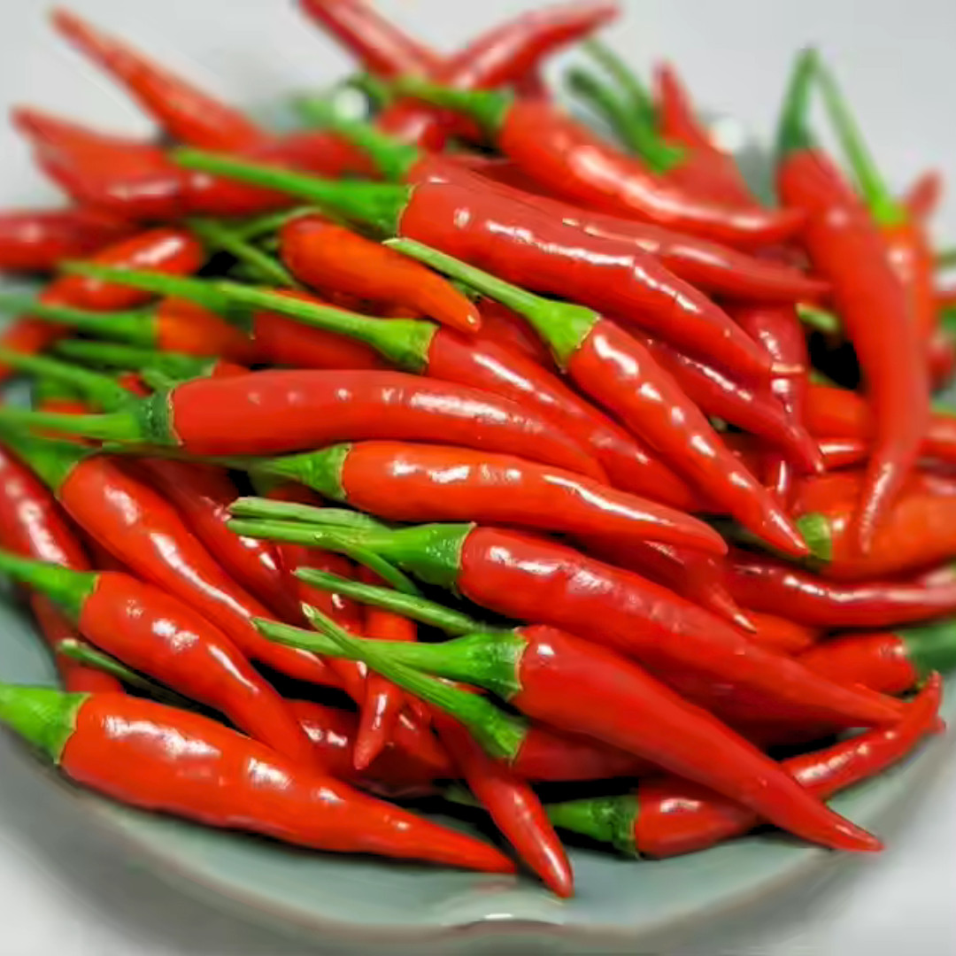 Fresh Birdseye Pepper Seeds | Wai Yee Hong | Heirloom Non-GMO | Vegetable Seeds