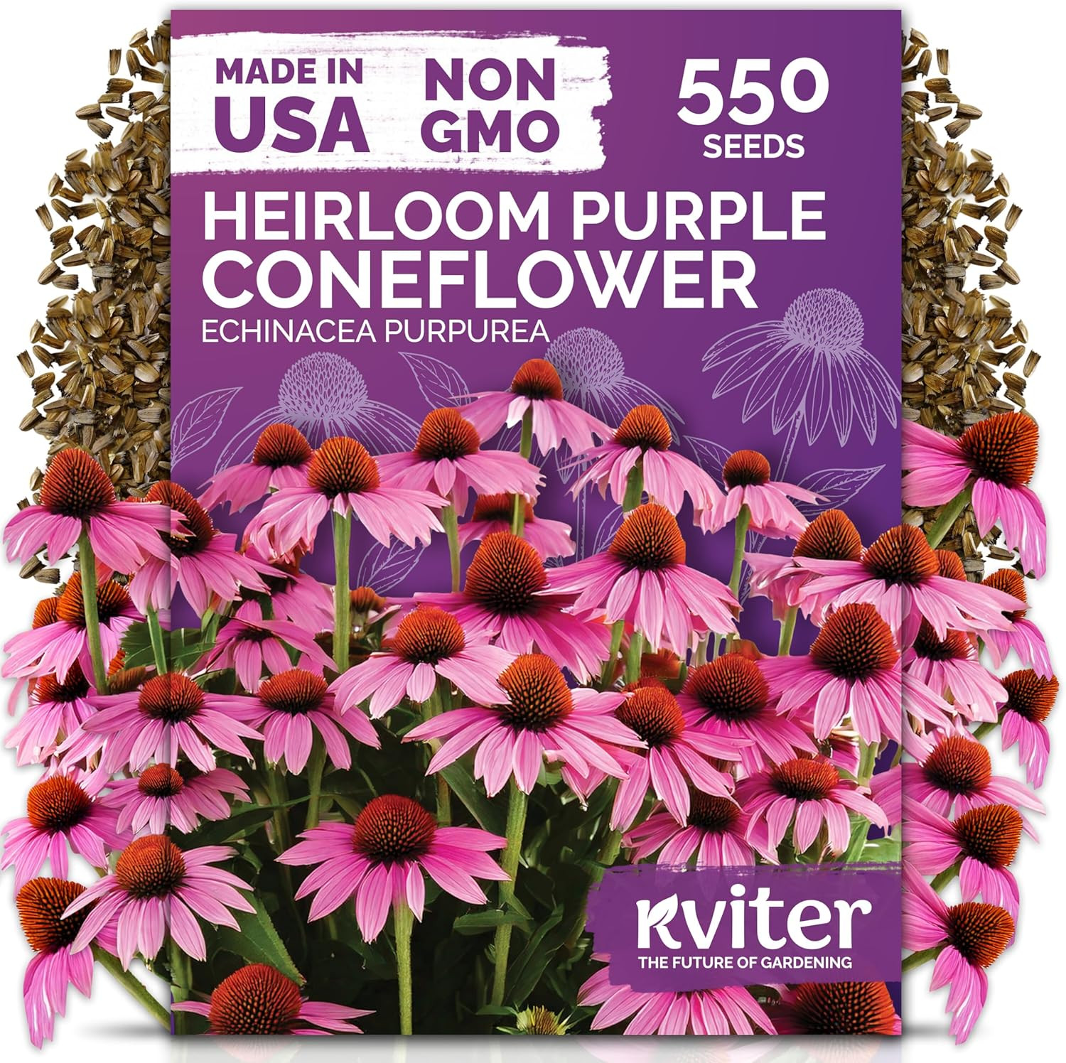 20,000 Creeping Thyme Seeds (Thymus Serpyllum) – Wild Thyme, Aromatic Ground Cov
