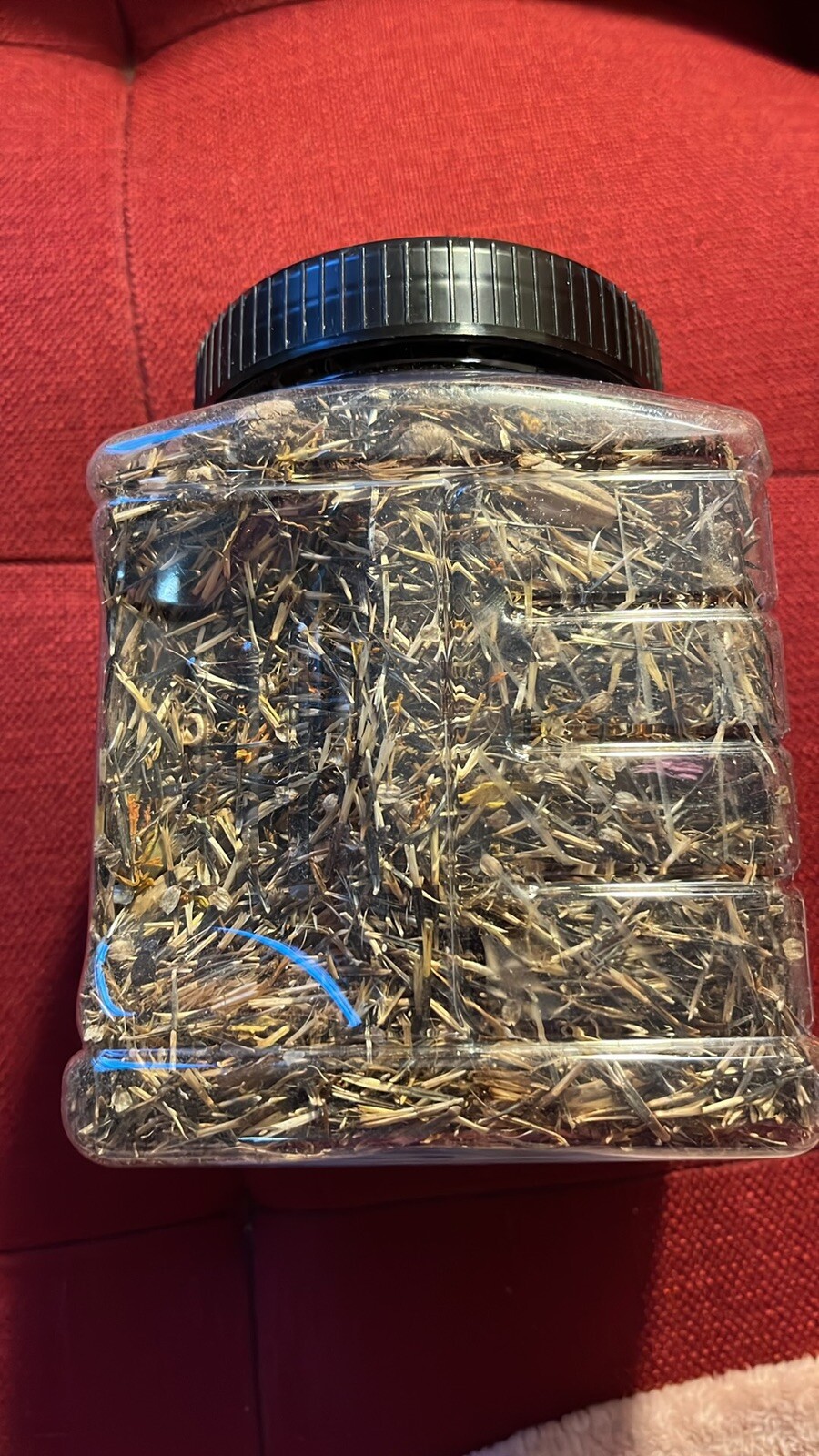 16 oz Box of Marigold Seeds – Fast-Growing & Easy to Care For! 🌼🌱