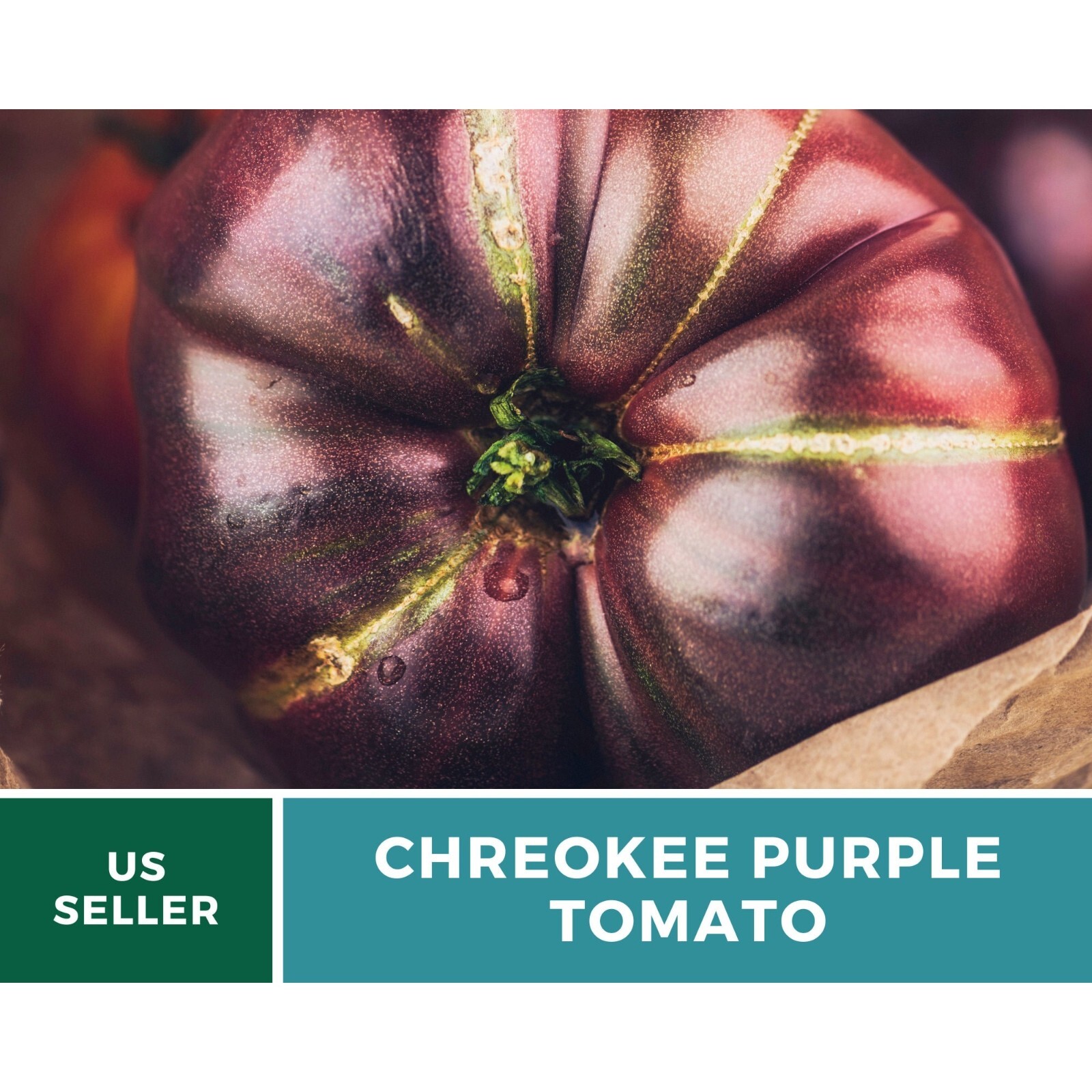 Tomato, Cherokee Purple – Heirloom Seeds – Non-GMO (Solanum lycopersicum)