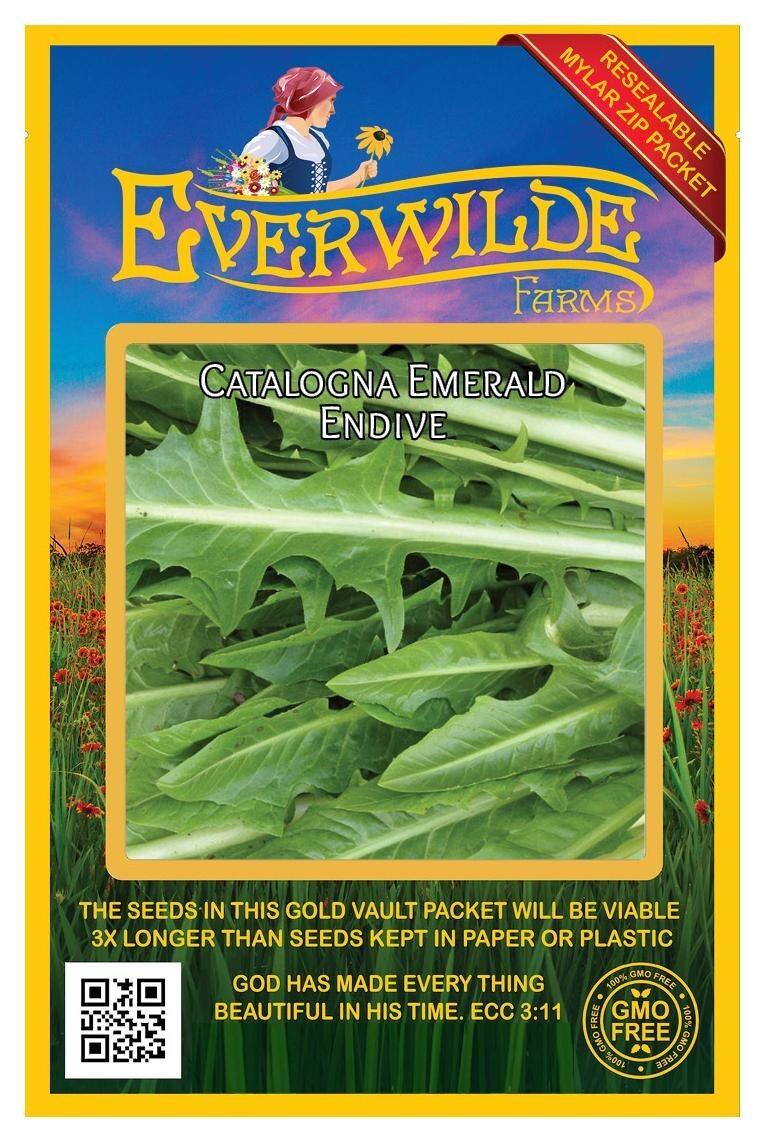 1000 Catalogna Emerald Endive Seeds – Everwilde Farms Mylar Seed Packet