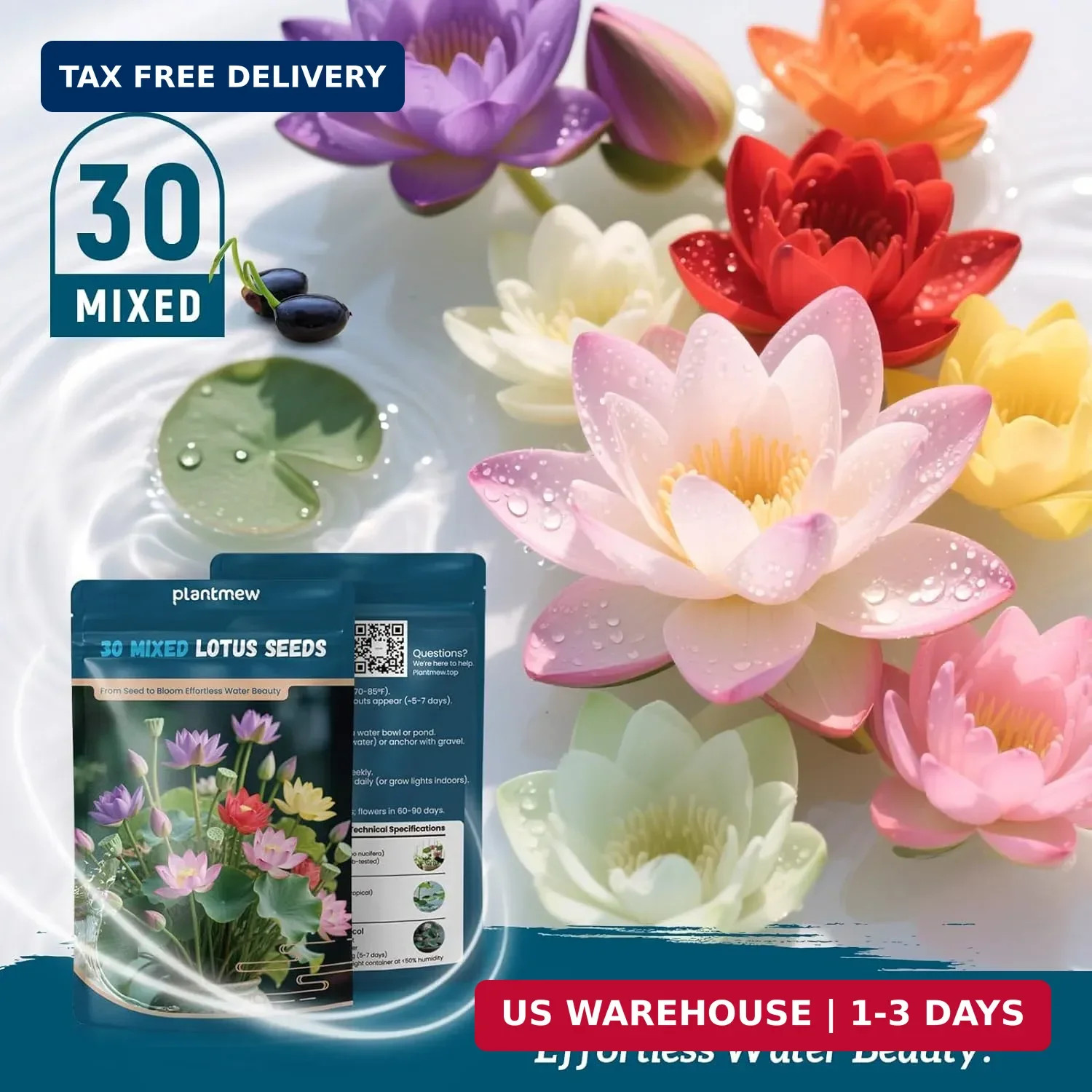 Lotus Seeds for Planting in Water | 30 PCS Mixed Color Bowl Lotus Seeds for Indo