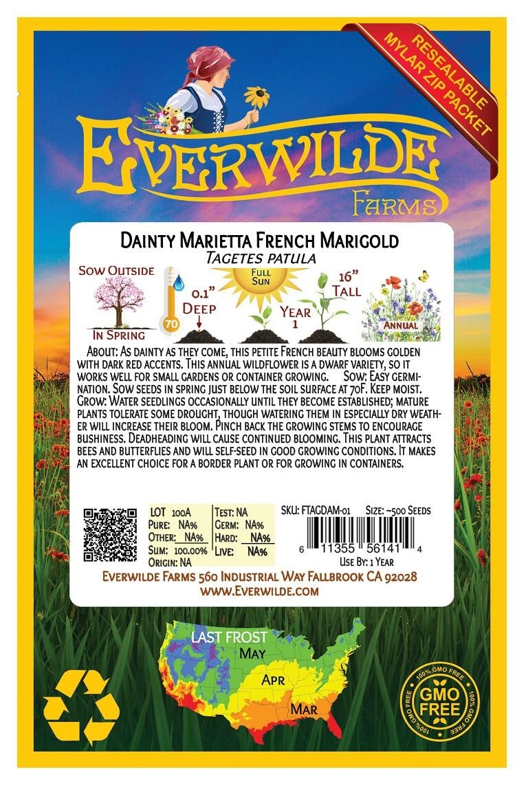 500 Dainty Marietta French Marigold Wildflower Seeds – Everwilde Farms Mylar