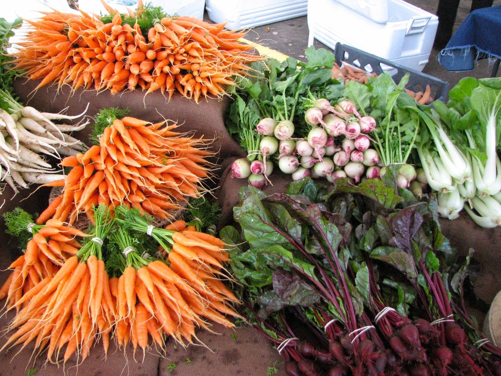 Wholesale Vegetable Garden Seeds $2.59 Each 127 Varieties COMBINED SHIPPING