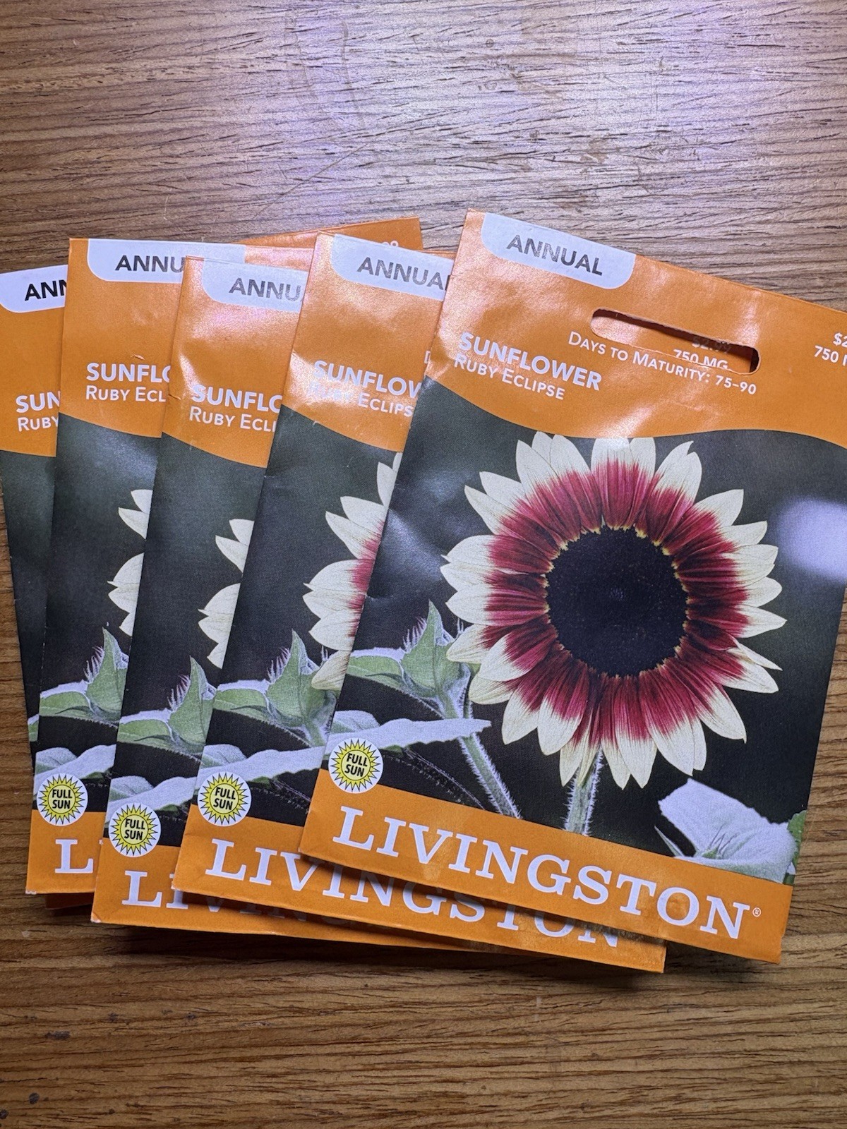 5 PACK BUNDLE Livingston Seed Company Sunflower Ruby Eclipse Annual Full Sun