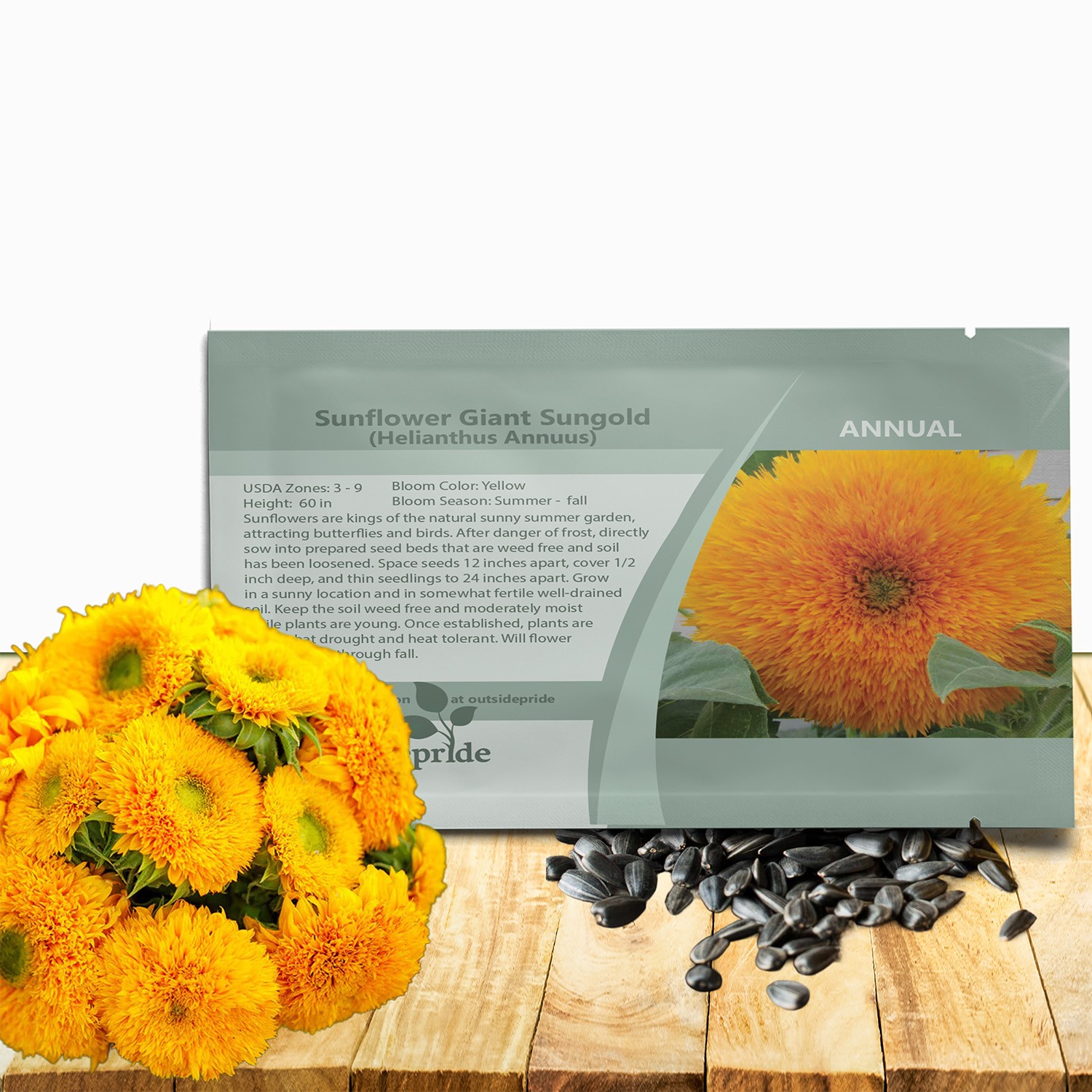 500 Seeds Sunflower Seeds – Giant Sungold Helianthus Annuus Flower Seed