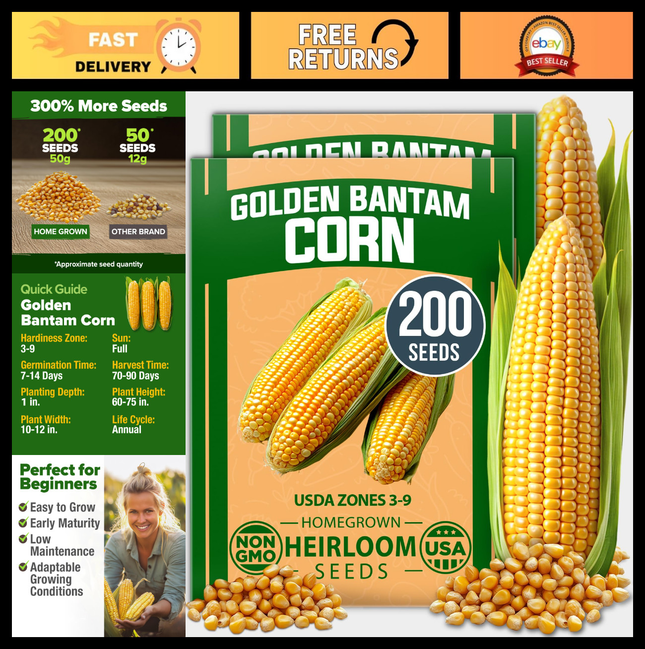 Heirloom Golden Bantam Sweet Corn Seeds – 200+ Non-GMO, High Germination, Easy t