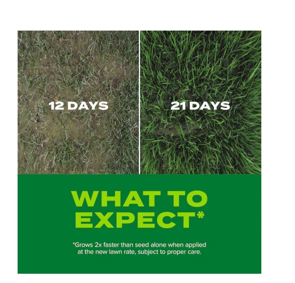 [BIG SALE] Scotts Turf Builder Rapid Grass Sun & Shade Mix 16 lb Grass Seed