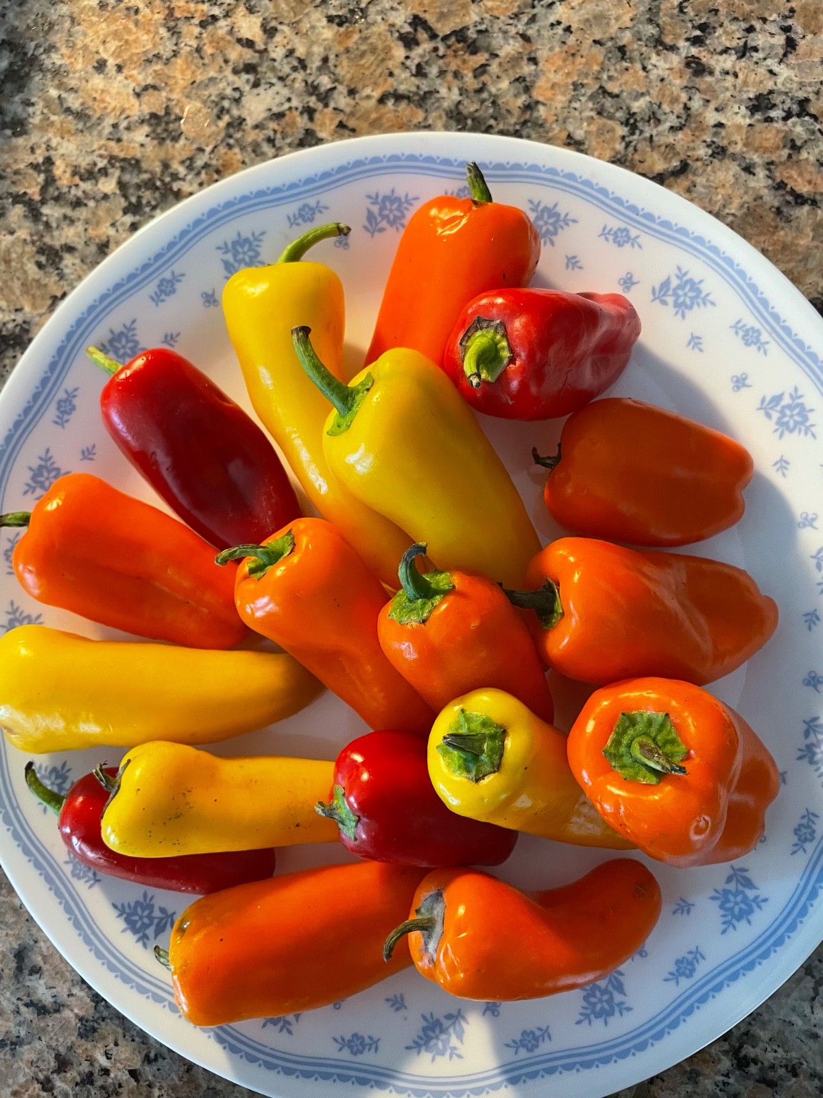 Sweet Mini Bell Snaking Pepper Seeds | Non-GMO Heirloom Organically Grown