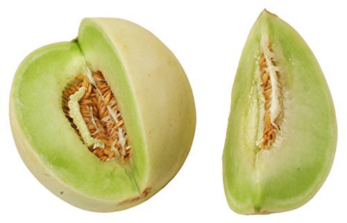 Cantaloupe Melon Honey Dew Green Flesh Heirloom By Seed Kingdom 300 Seeds