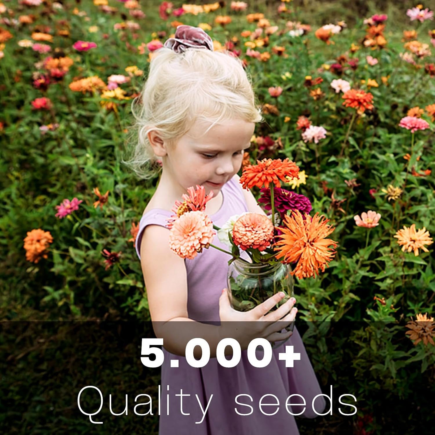 Zinnia Seeds Bulk 5,000+ | Outdoor Flower for Planting |Giant Zinnia Seeds for 2
