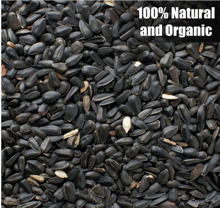 25 lbs Wildlife Black Oil Sunflower Seeds for Birds and Wildlife, Non-GMO & USA