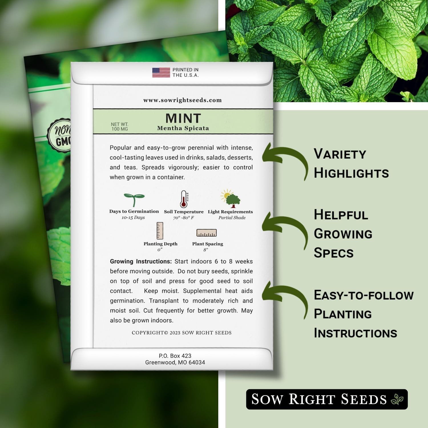 Grow Your Own Tea with Non-GMO Heirloom Mint Seeds – Ideal for Indoor or Outdoor