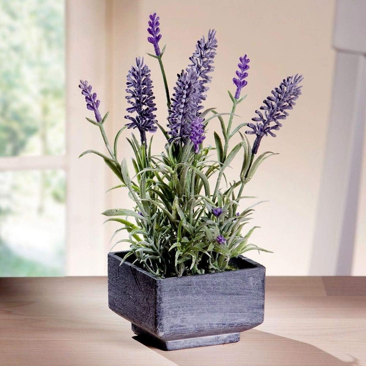 100 Lavender Flower Seeds Purple Bloom Herb Fragrant Garden Indoor Seed