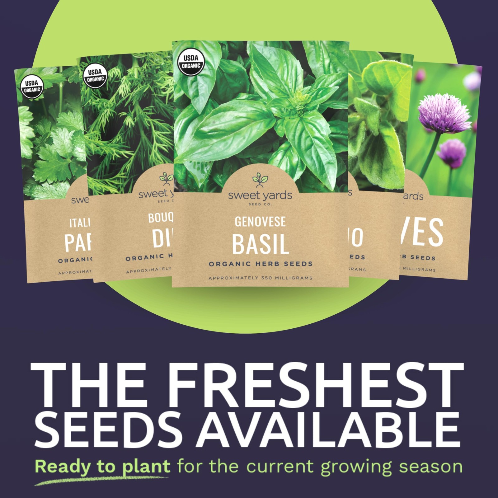 Organic Herb Seeds Variety Pack 10 Individual Packs 2026 Season Basil Cilantro