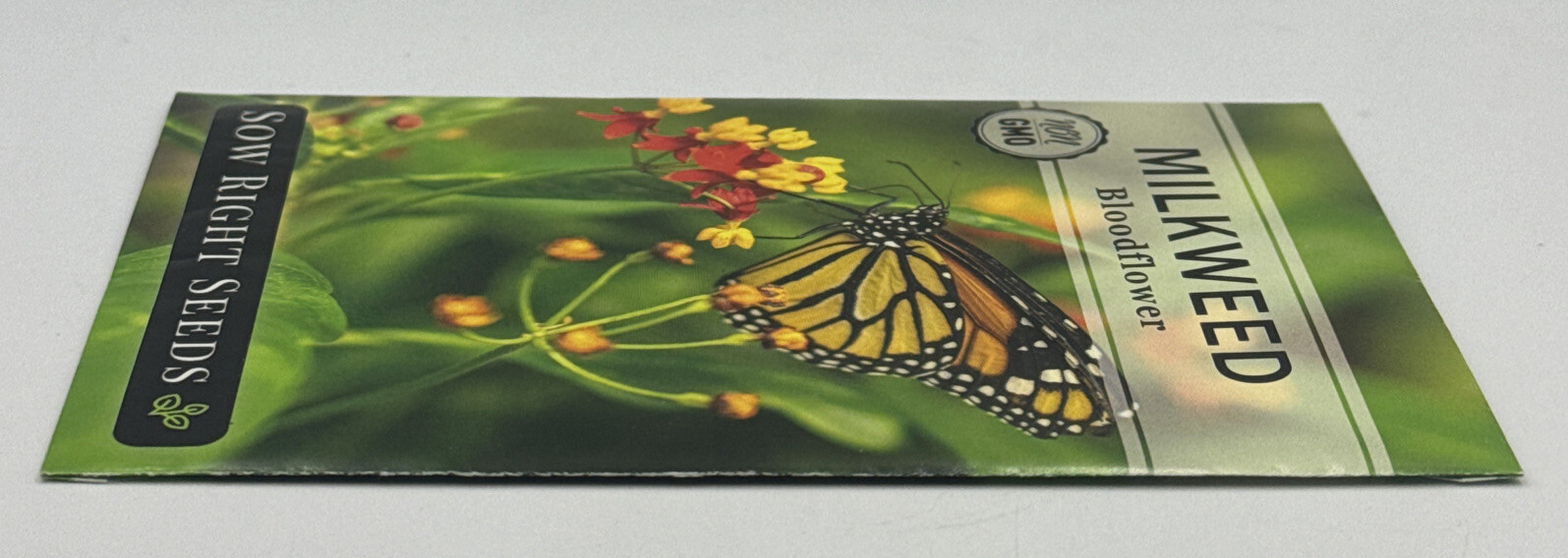 Blood Flower Milkweed Butterfly Seeds Packet HALF GRAM (.5 grams) Monarch. New