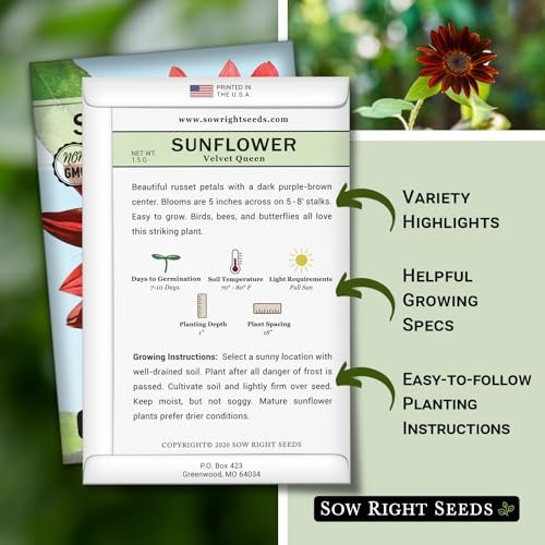 – Velvet Queen Sunflower Seeds for Planting – Grow Giant Sunflowers Outdoors 2