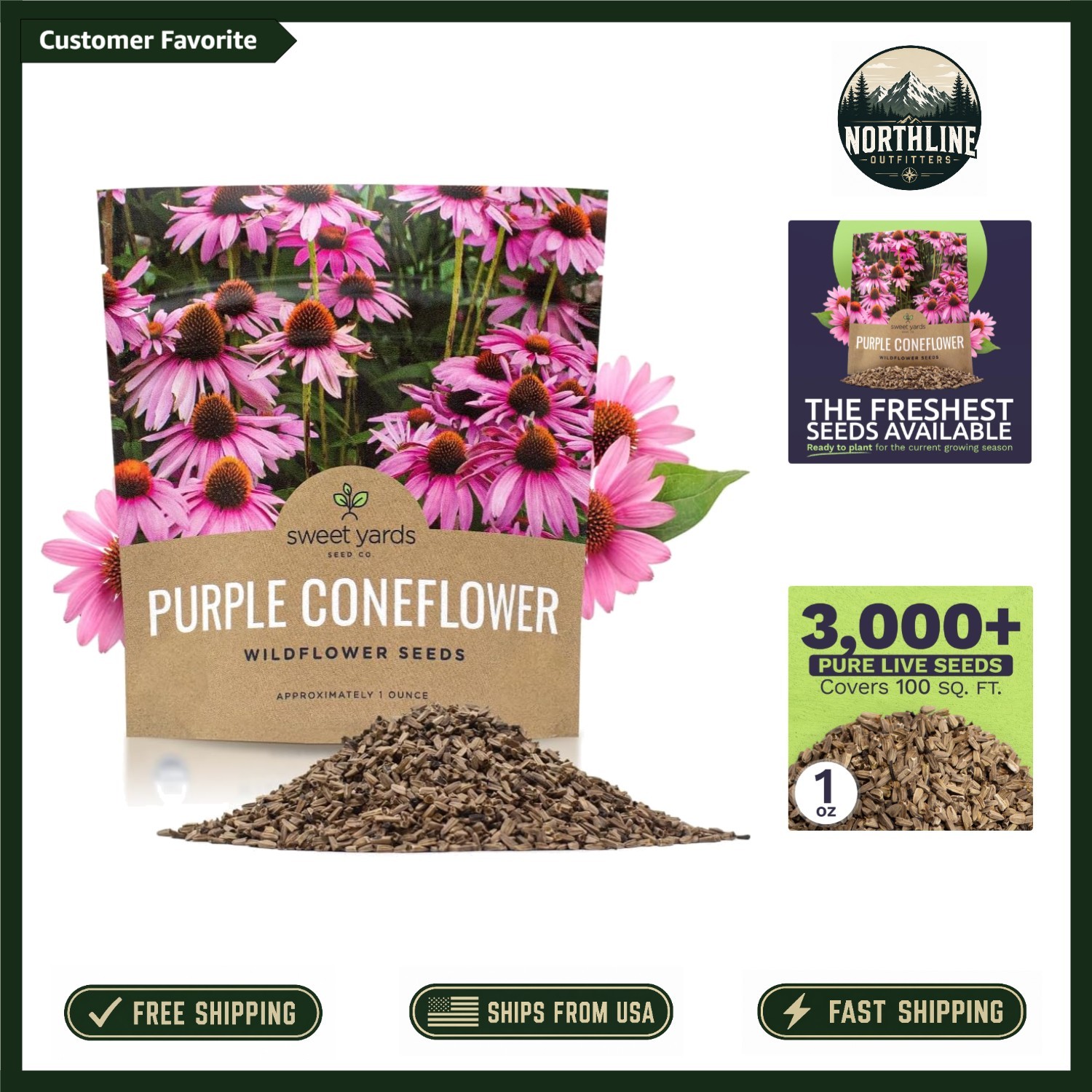 Purple Coneflower Seeds: Extra Large Non-GMO Pack with 3,000+ Seeds – Echinacea