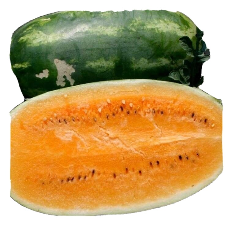 10+Tendersweet Orange Watermelon Seeds, Very Sweet, NON-GMO, Heirloom.